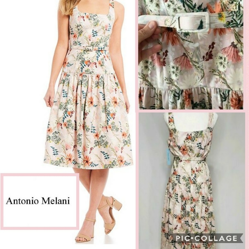 NWT Antonio Melani Emma Belt Dress